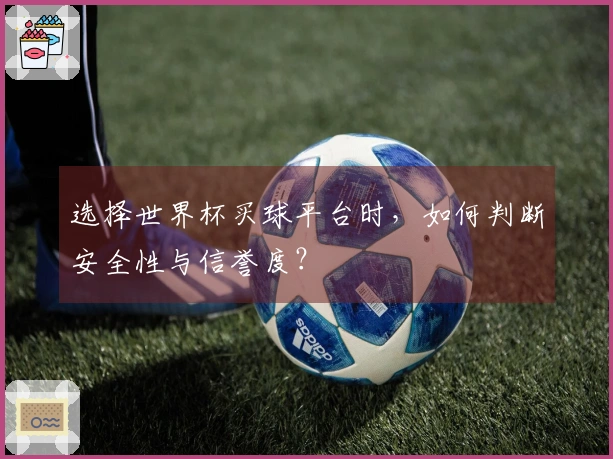 选择世界杯买球平台时,如何判断安全性与信誉度?